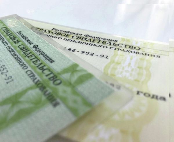 Пособие на детей от 1,5 до 3 лет: кому положено, как оформить в 2023 году Пособие на детей от 1,5 до 3 лет: кому положено, как оформить в 2023 году