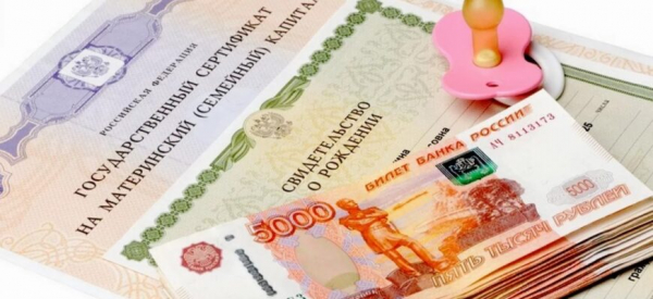 В Совфеде предложили разрешить использовать материнский капитал на оплату спортсекций, а также на медицинское страхование детей