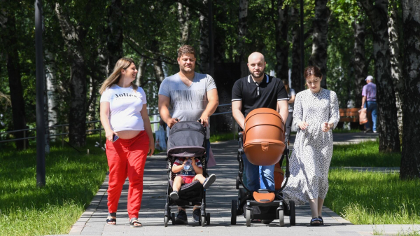Пособие по беременности и родам: как получить "декретные" в 2024 году Пособие по беременности и родам: как получить "декретные" в 2024 году