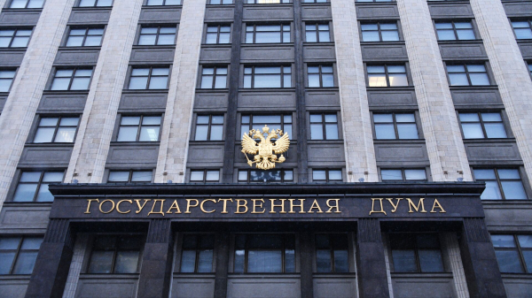 Госдума рассмотрит проект о повышении безопасности детского отдыха 13 января